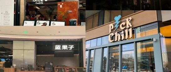 餐饮越卷越便宜，为什么中高价格带商家反而留存更高？